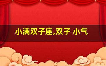 小满双子座,双子 小气